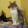 Отзыв от Алеся Суханова